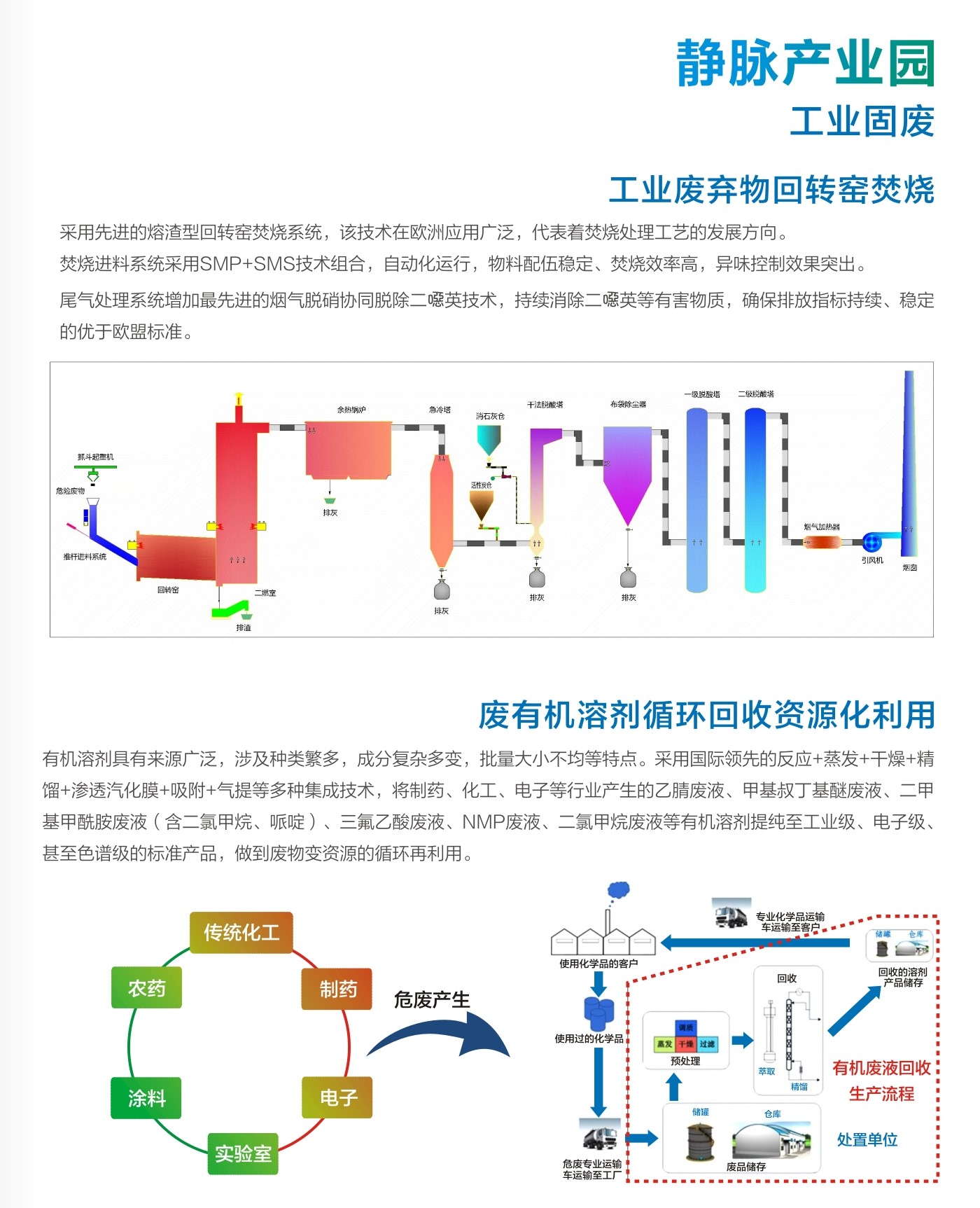 静脉6.jpg